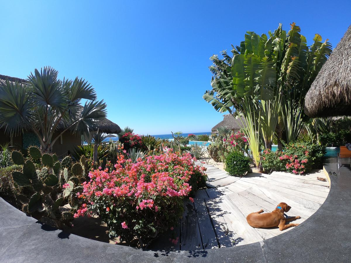 Samora Luxury Resort Santa María Colotepec Εξωτερικό φωτογραφία