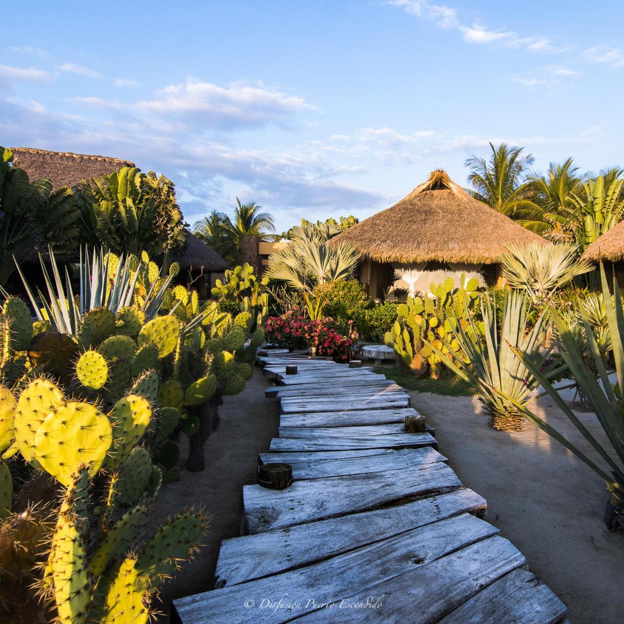 Samora Luxury Resort Santa María Colotepec Εξωτερικό φωτογραφία